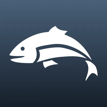 Matt Hayes TV Читы