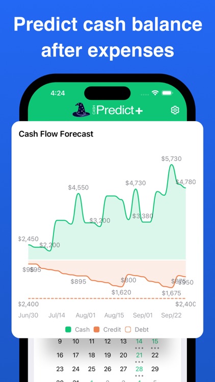 Cash Predict | Budget Forecast screenshot-4