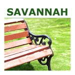 Download Savannah Experiences app