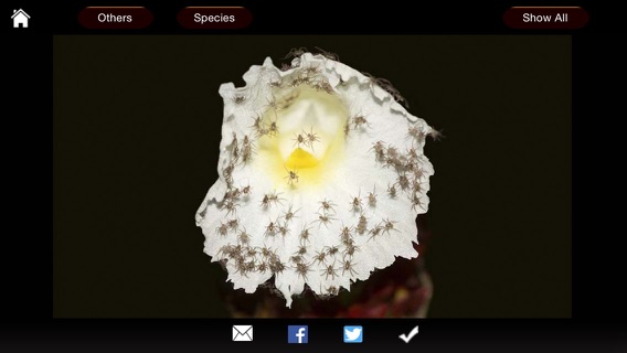 Spiders eGuideのおすすめ画像4