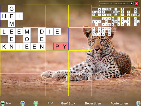 Kruiswoord Legpuzzel iPad app afbeelding 8
