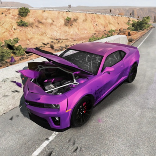 RCC - Real Car Crash Simulator Icon