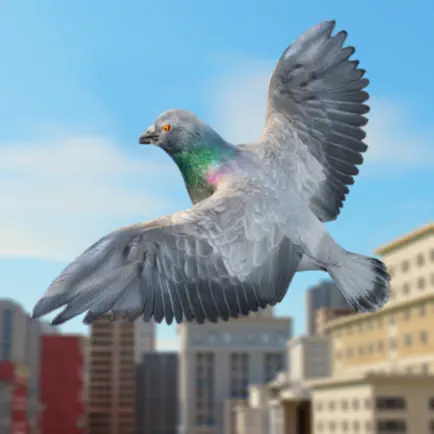 Pigeon Bird Flight Simulator Cheats