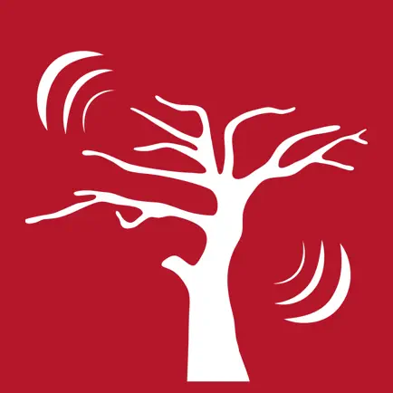San Gregorio Radio Cheats