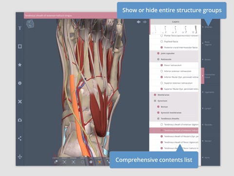 Primal's 3D Forearm & Handのおすすめ画像4