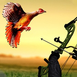 Pheasant Bow Hunting Safari