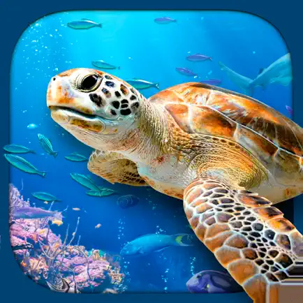 Virtual Reality OCEANS! Cheats