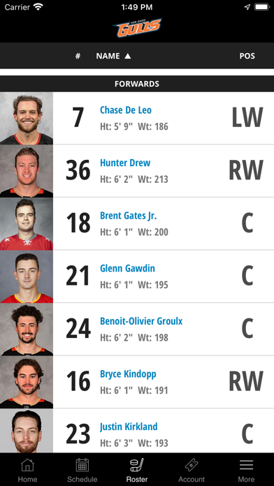 San Diego Gulls Hockey Screenshot