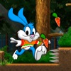 Beeny Rabbit Adventure World icon