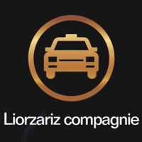 liorzariz driver