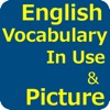 English Vocabulary in Use icon