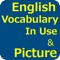 This Engliish Vocabulary In Use with Picture app provides 100 life's categories with thousands vocabulary so it can help you to learn and improve  your vocabulary knowledge daily