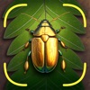 Bug Identifier App - Insect ID icon