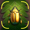 Bug Identifier App - Insect ID - Uladzislau Yanushka