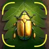 Bug Identifier App - Insect ID contact information
