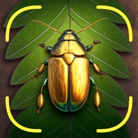 Bug Identifier App  logo