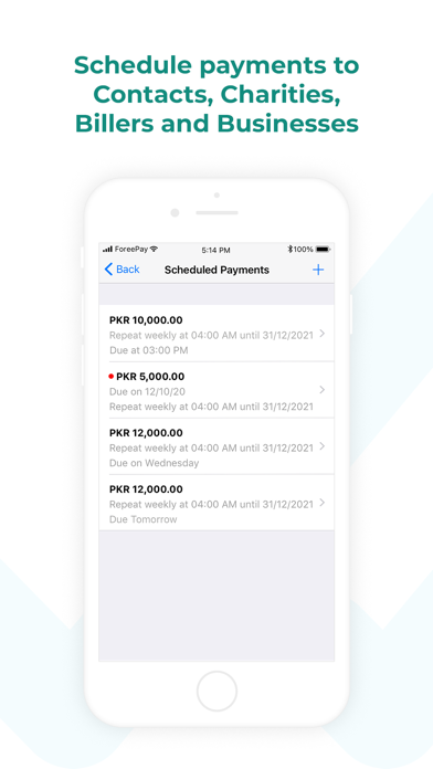 Foree -Pakistan's Payments App Screenshot