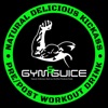 Level Up Fitness Training icon