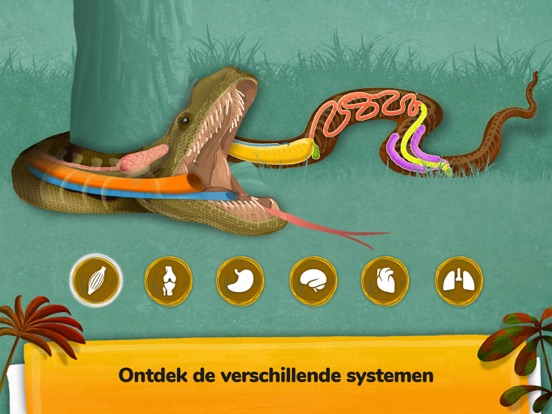 Hoe gaan dieren te werk? iPad app afbeelding 8