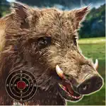 Wild Boar Target Shooting App Contact