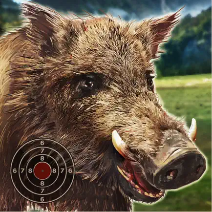Wild Boar Target Shooting Читы