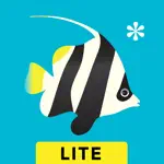 Peek-a-Zoo Underwater Ocean App Positive Reviews