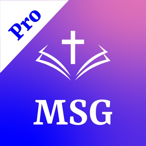 Message Bible Pro icon