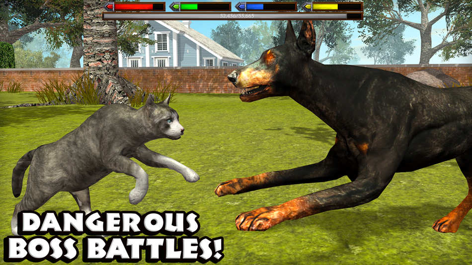 #5. Ultimate Cat Simulator (iOS) 由: Gluten Free Games