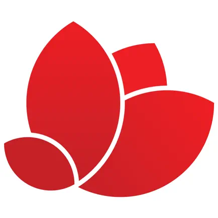 PNE Hub - Phuong Nam Education Cheats