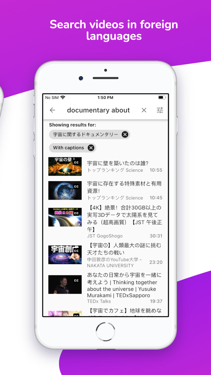 Lingvotube Video translator