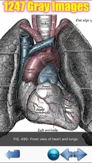 visual anatomy problems & solutions and troubleshooting guide - 1