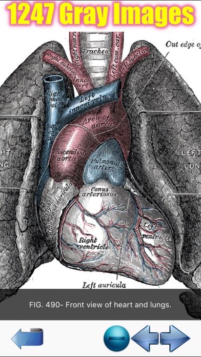 Visual Anatomyのおすすめ画像7