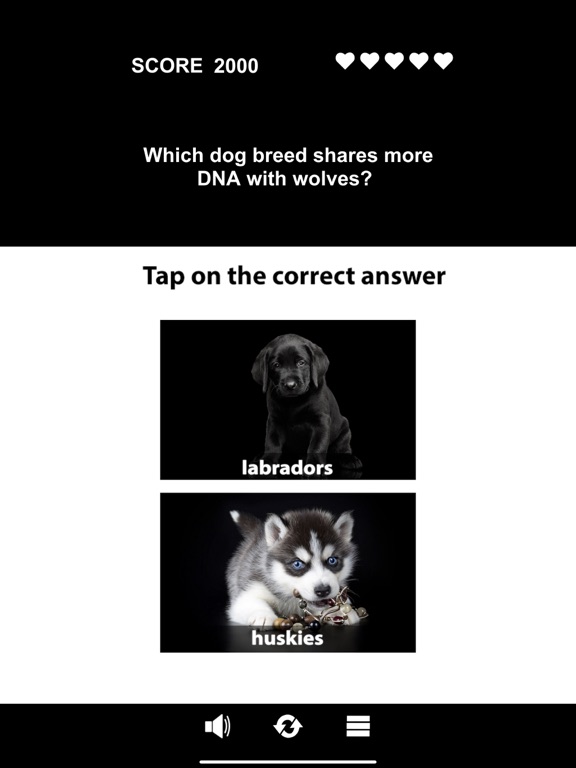 Screenshot #6 pour Animal Class
