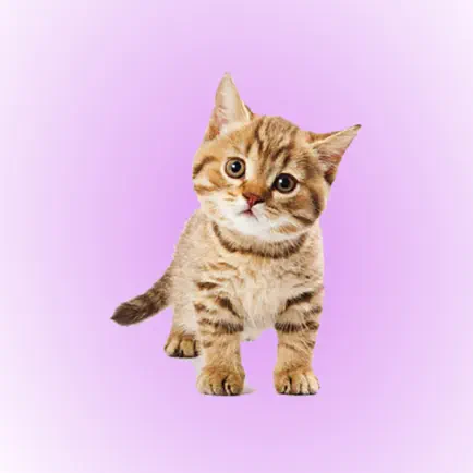 Cat Sounds Soundboard Читы