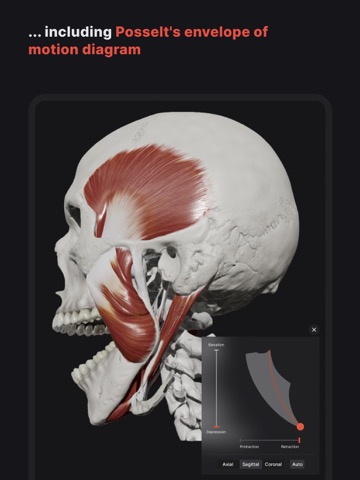 Skull, Teeth & TMJのおすすめ画像2
