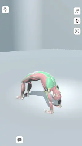 Game screenshot 3D Yoga - Yoga Anatomy hack