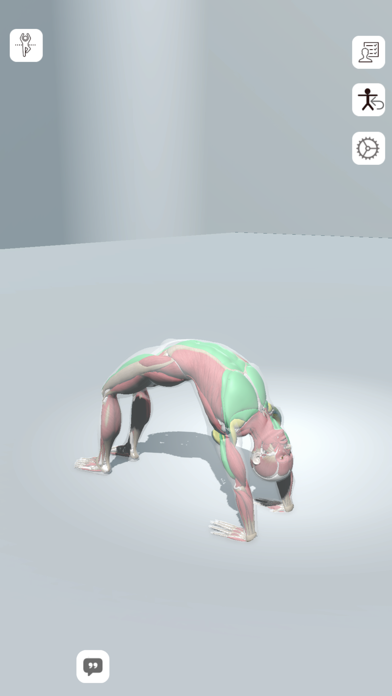 3D Yoga - Yoga Anatomy Screenshot