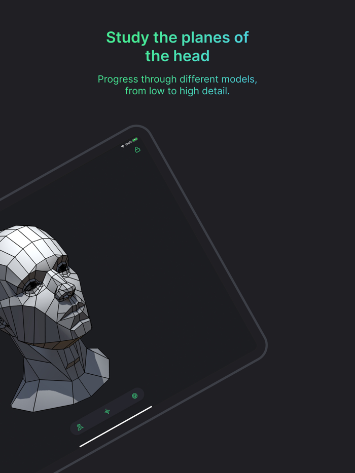 Head Model Studio - Art Study