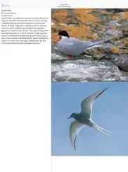 collins british wildlife ipad images 3