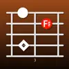 FretBoard: Chords & Scales negative reviews, comments