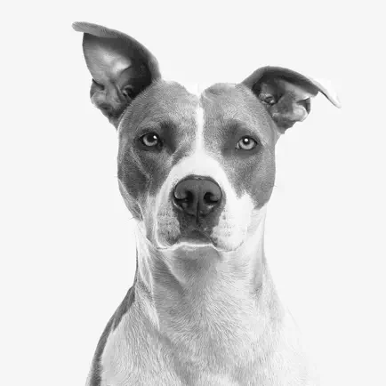 My Dog App - Care my Dog Cheats