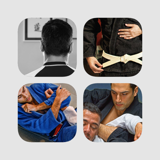 ‎Quick Start Jiu Jitsu Collection on the App Store