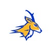 Whiteface CISD Antelopes icon