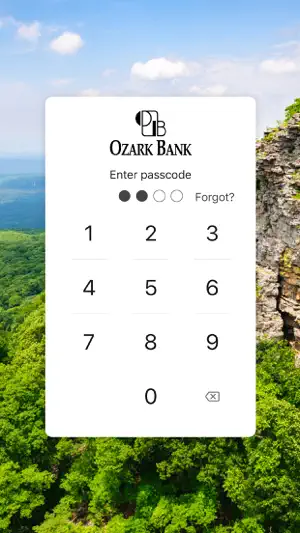 Ozark Bank screenshot 2