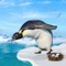 Icon Penguin Simulator Arctic Bird