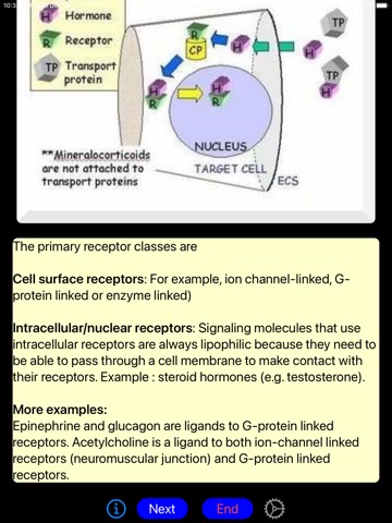 DVM 1st Year Biochemistryのおすすめ画像8