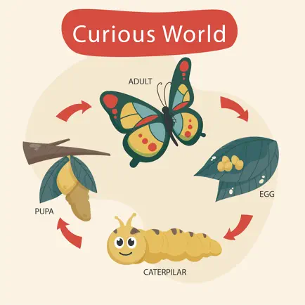 Curious World: Preschool Learn Читы