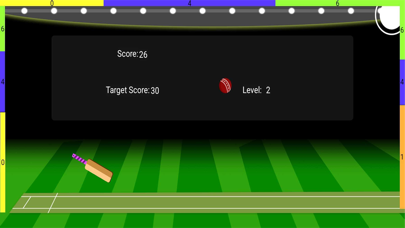 HappyCricket2023 Screenshot