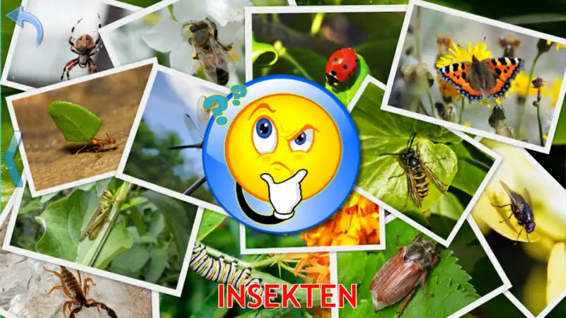 Tiere für Kinder, Vollversion screenshot 5 of 5