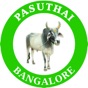 Pasuthai app download